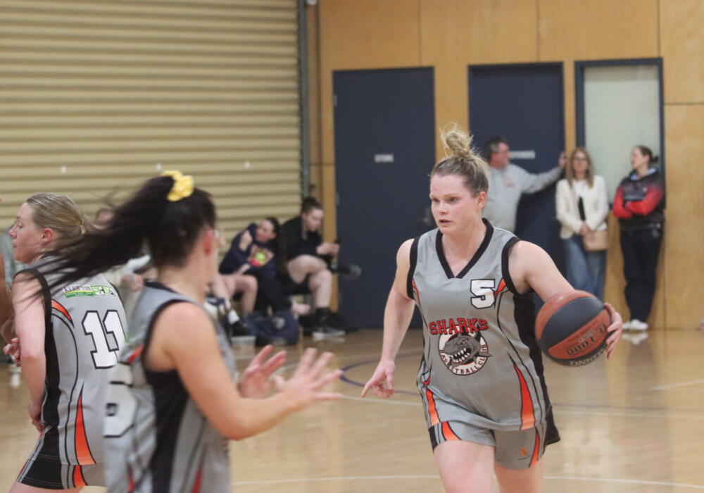 Alex Duck Sharks Geelong United Basketball