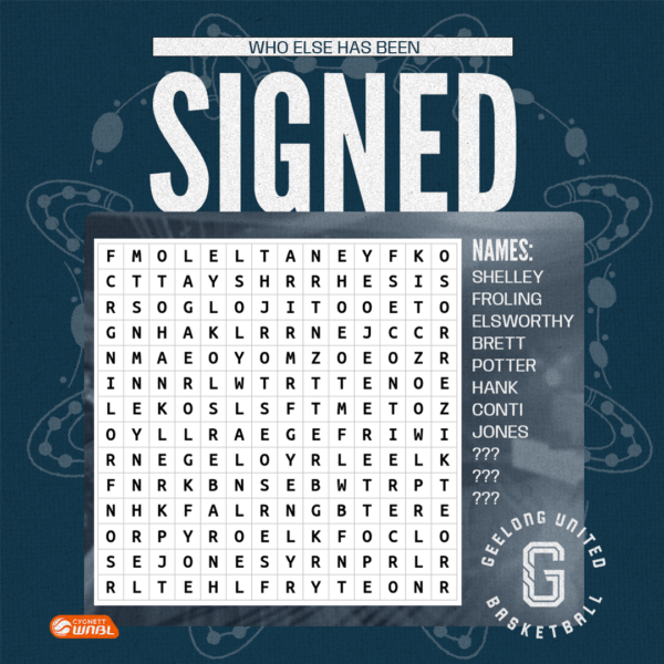 Wnbl Roster Word Search